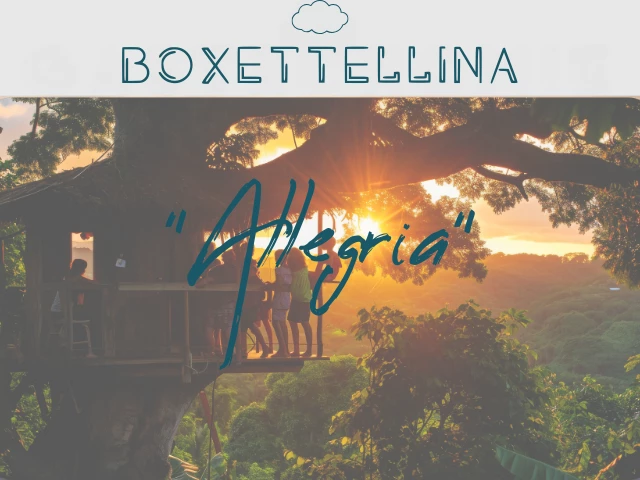 BOXETTELLINA "ALLEGRIA"