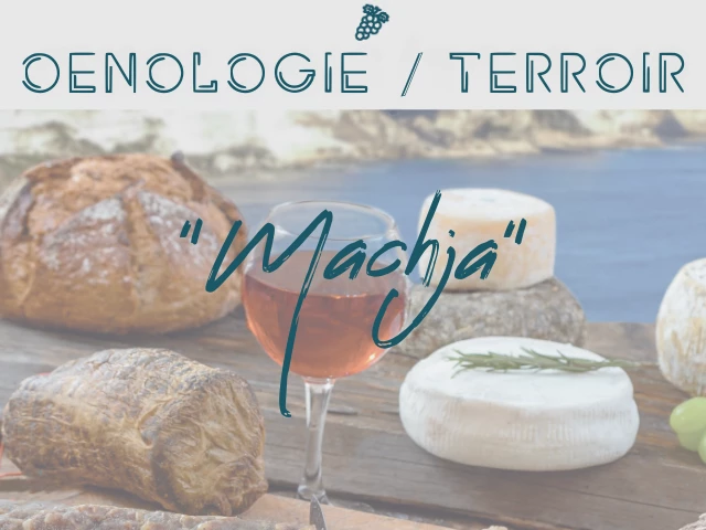 OENOLOGIE / TERROIR "MACHJA"