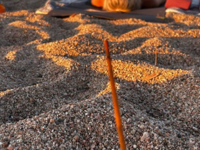 2 cours privés d'une heure avec Kaya Yoga à Ajaccio