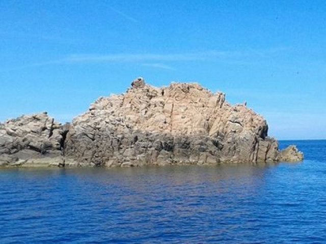 Baptême de plongée au départ de la plage avec E Ragnole à Ajaccio