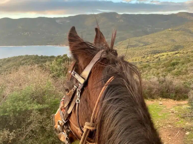 1h de balade à cheval pour 2 personnes avec L'Orca Agricultura à Serra-di-Ferro