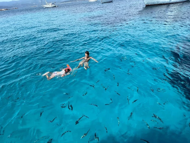Promenade dans le golfe du Valinco avec Waterplay Promenades à Campomoro
