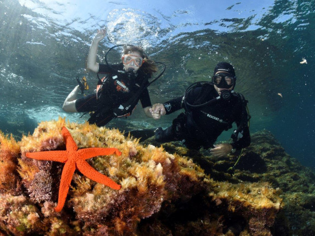 1 baptême de plongée Costa Verde Loisirs à Santa-maria-poggio