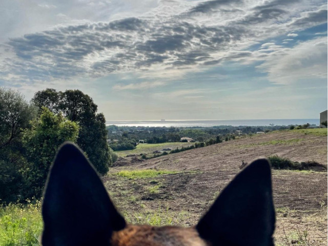 Visite et dégustation du domaine Inzaina à Coasina pour 2 personnes