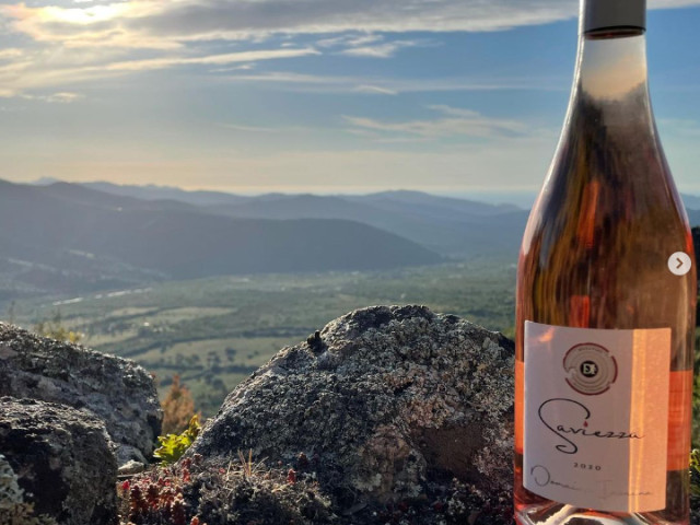 Visite et dégustation du domaine Inzaina à Coasina pour 4 personnes