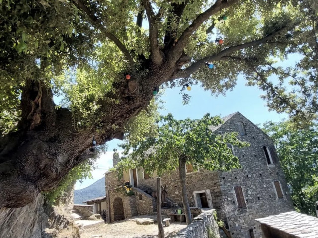Visite culturelle avec guide conférencière d'Agric'ultura en Castagniccia pour 4 personnes