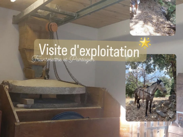 Visite historique avec guide conférencière d'Agric'ultura en Castagniccia pour 4 personnes