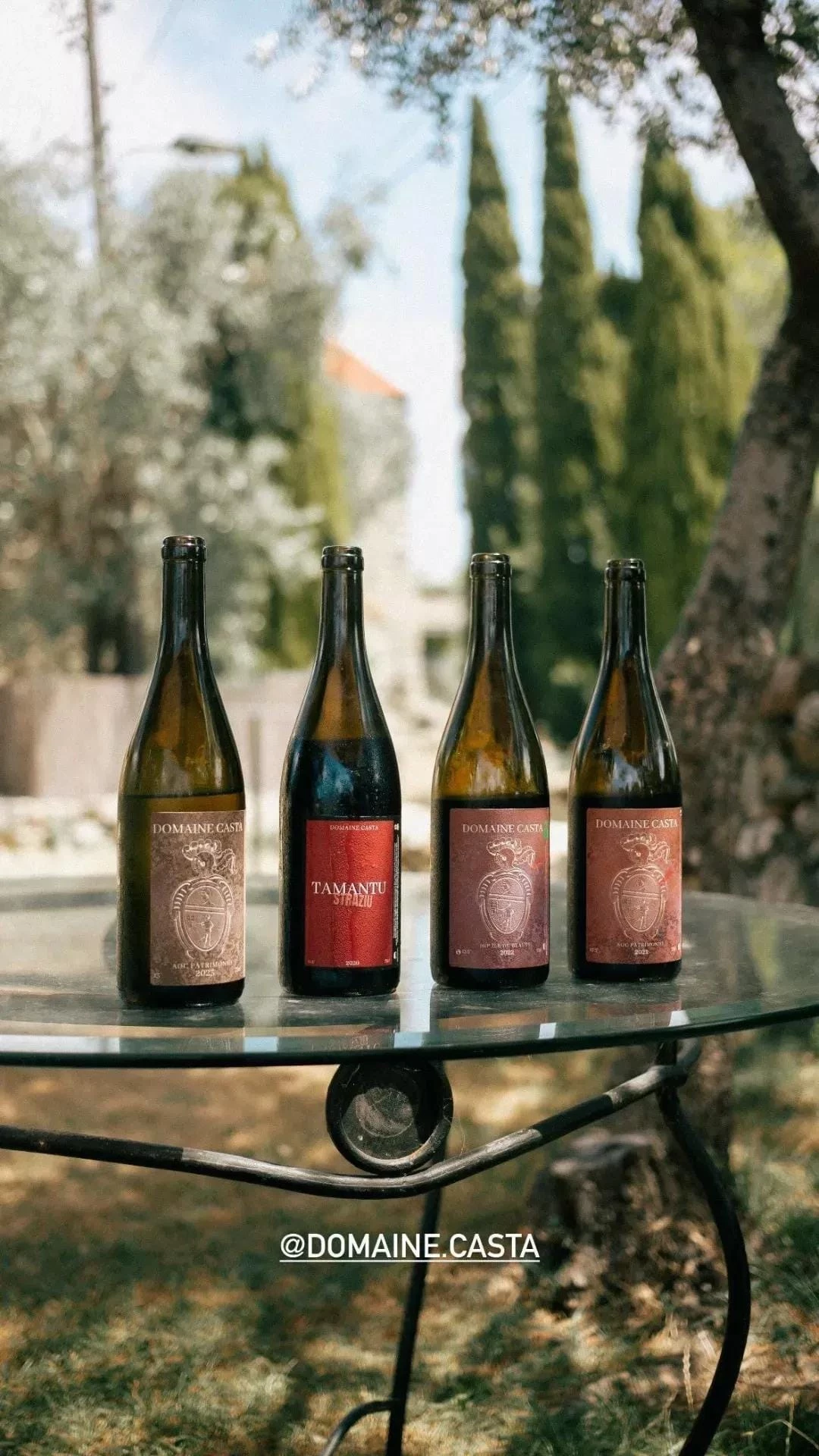 Expérience gustative du Domaine Casta à Saint Florent