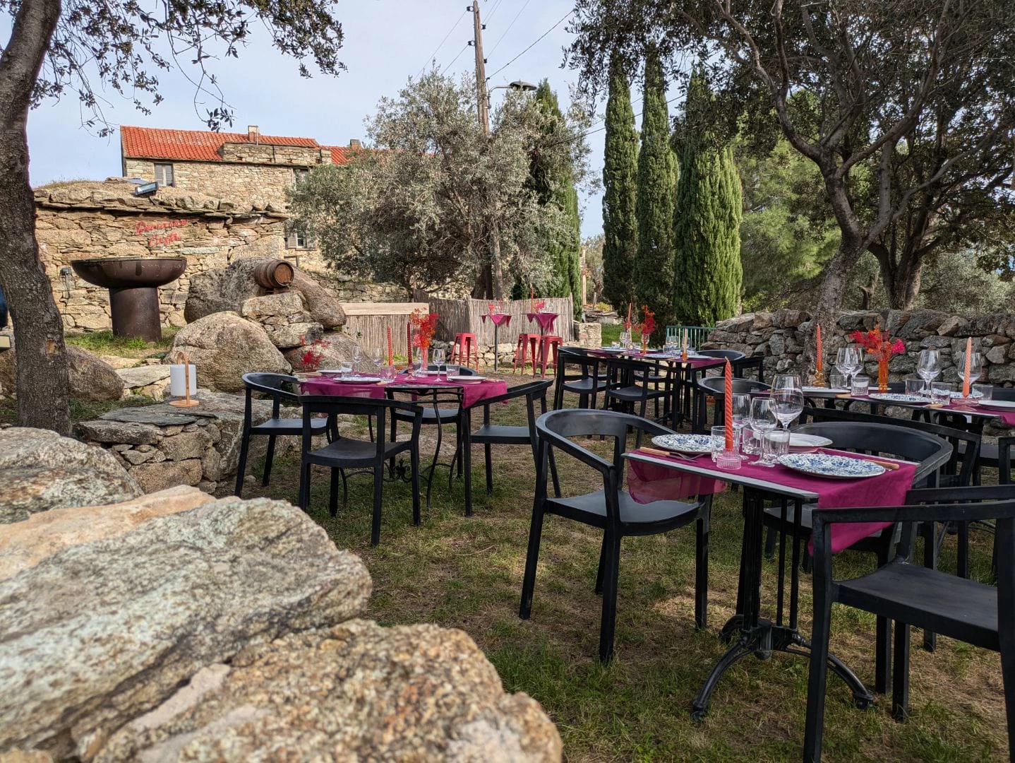 Expérience gustative du Domaine Casta à Saint Florent