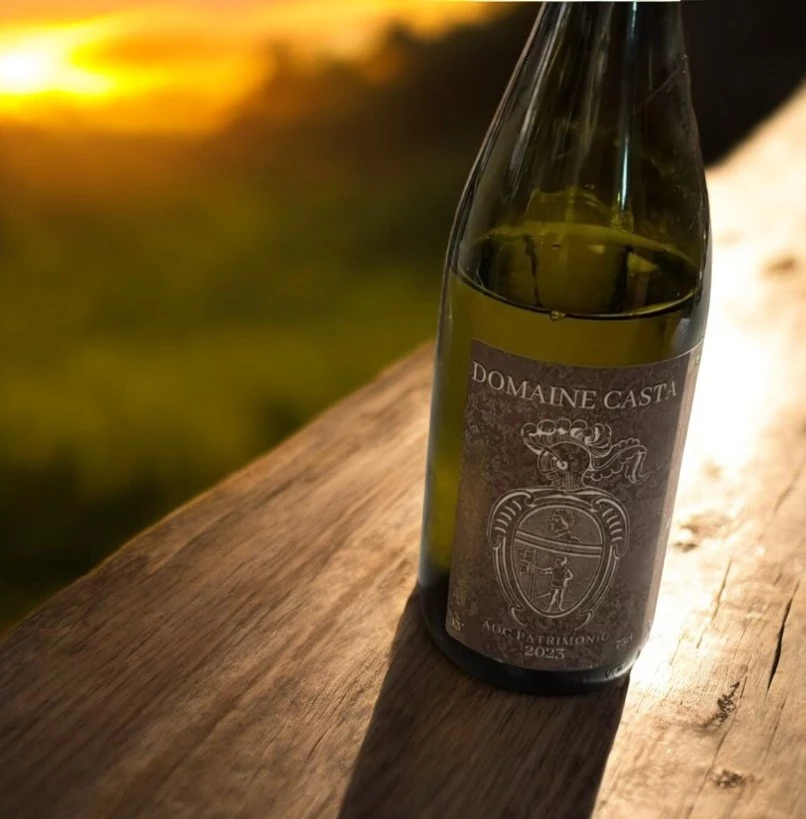 Expérience gustative du Domaine Casta à Saint Florent