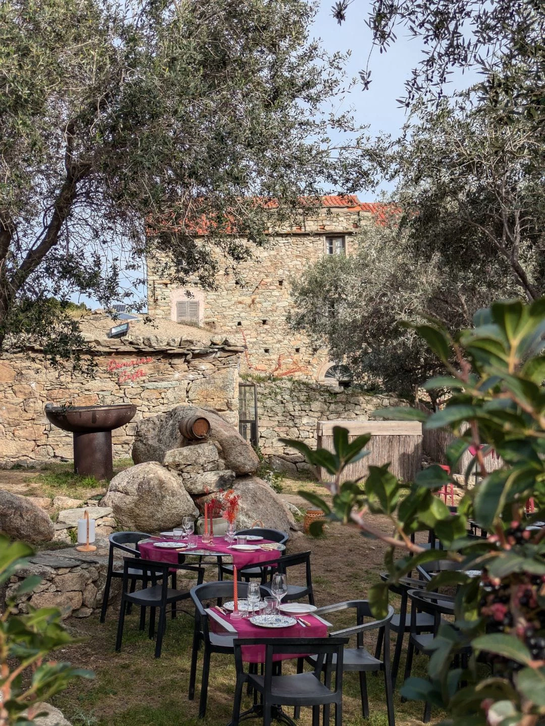 Expérience gustative du Domaine Casta à Saint Florent