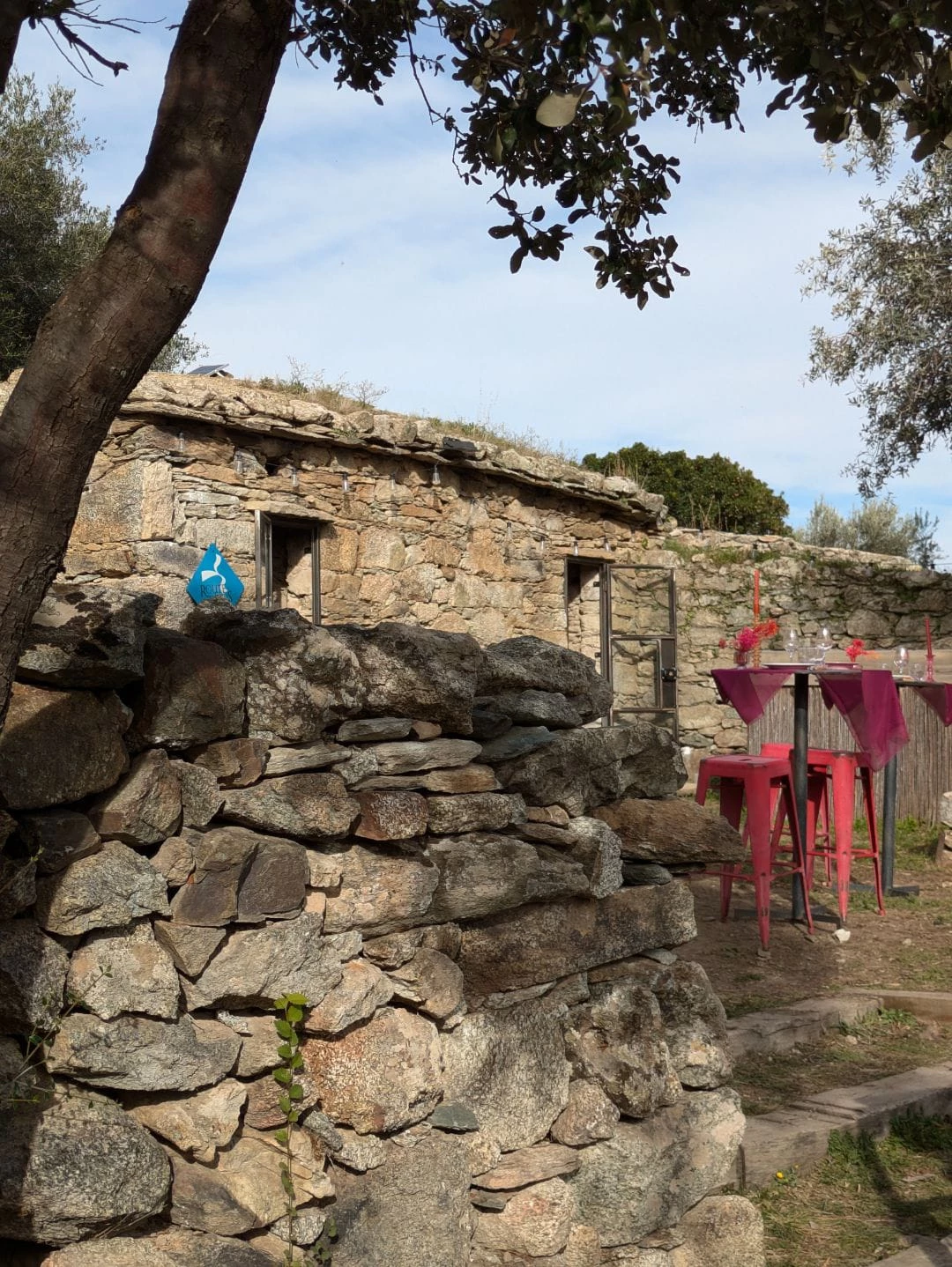 Expérience gustative au Domaine Casta à Saint Florent pour 2 personnes