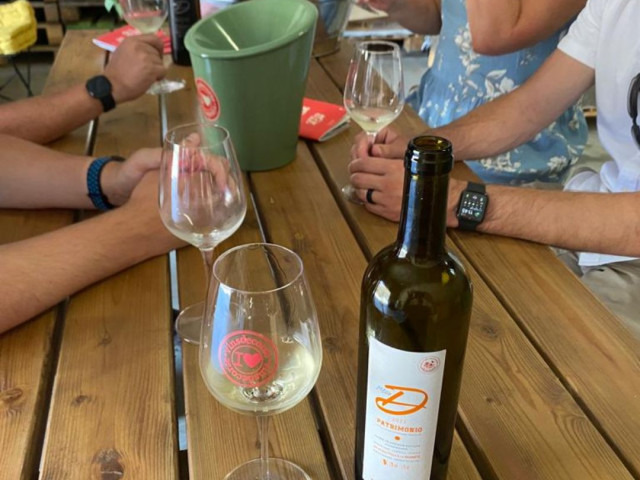 Balade et dégustation du Domaine Mlle D à Patrimonio