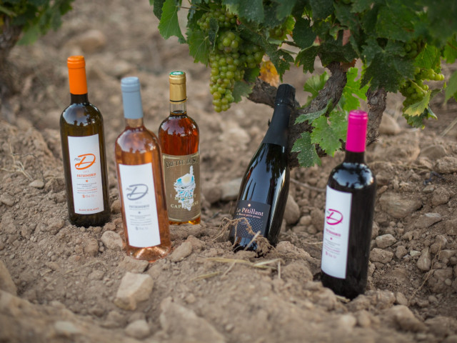 Balade et dégustation du Domaine Mlle D à Patrimonio