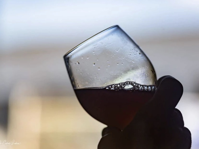 Visite des caves et dégustation au Domaine Zuria à Bonifacio pour 1 personne