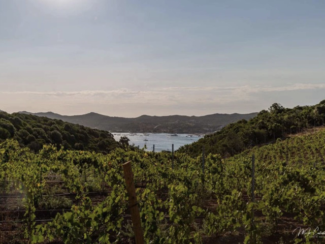 Visite des caves et dégustation au Domaine Zuria à Bonifacio pour 2 personnes