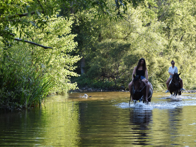 Balade à cheval avec I Chjassi di l'Altagna à Sartène