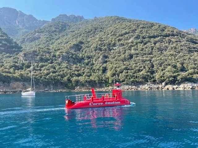 Balade de 45 min en semi sous-marin à Porto avec Kiffemu