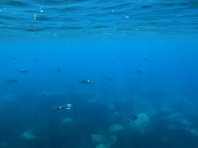 Excursion en semi-rigide aux Calanche et Capo Rosso avec Kiffemu
