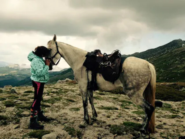 Balade de 2h à cheval à Sartène avec Kiffemu
