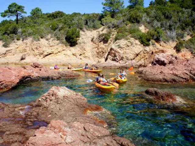 Location de différents paddles à Porto-Vecchio avec Kiffemu