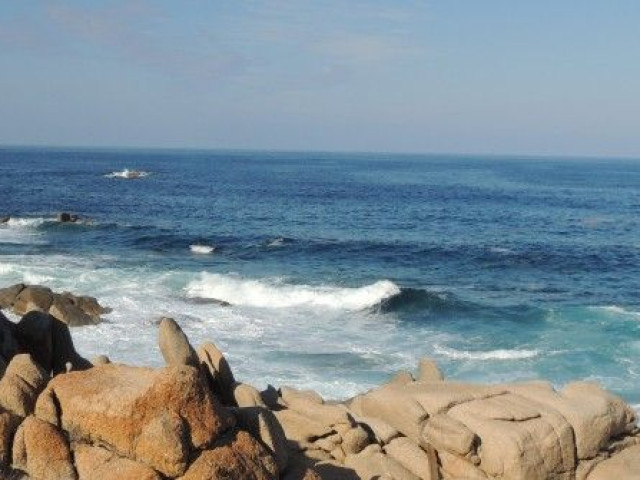 Balade à cheval à la demi journée sur le littoral à Sartène avec Kiffemu