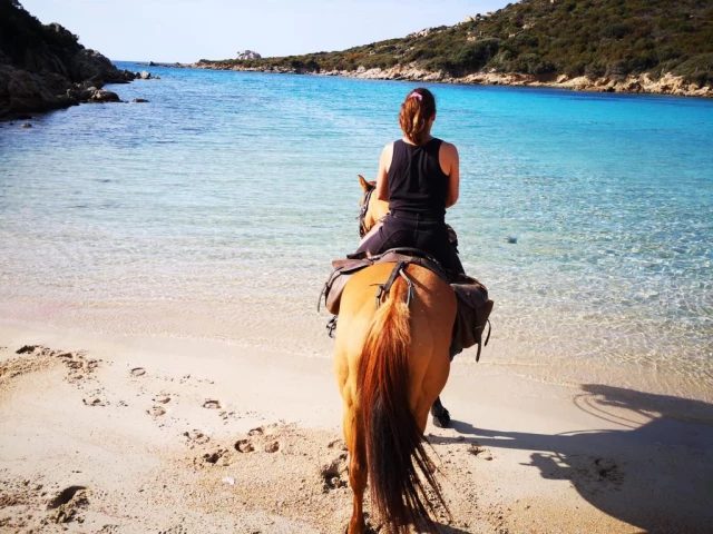 Balade à cheval à la demi journée sur le littoral à Sartène avec Kiffemu
