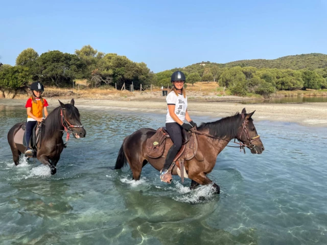 Balade à cheval de 3h30 sur un site préhistorique à Sartène avec Kiffemu