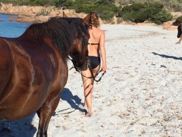 Balade à cheval de 3h30 sur un site préhistorique à Sartène avec Kiffemu