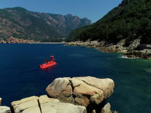 Excursion en semi rigide depuis Porto avec Kiffemu