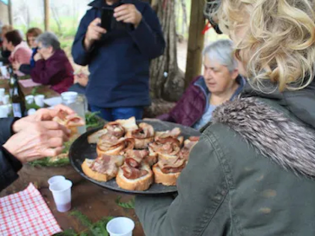 Balade et repas à la ferme dans une châtaigneraie à Murato avec Kiffemu