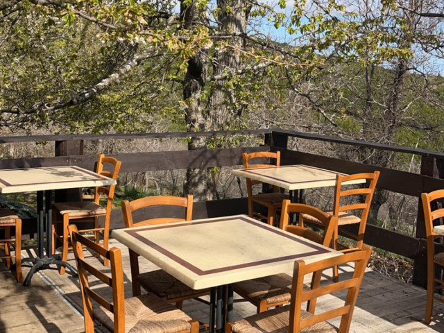 Balade et repas à la ferme dans une châtaigneraie à Murato avec Kiffemu