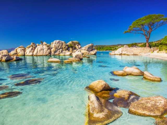 Promenade guidée avec dégustation en kayak à Porto Vecchio avec Kiffemu