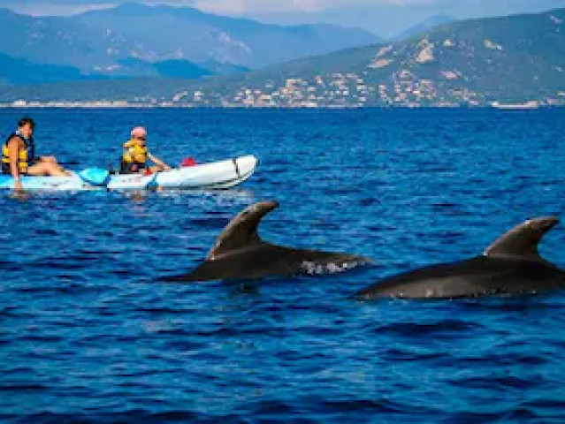 Promenade guidée en paddle au coucher de soleil à Porto Vecchio avec Kiffemu