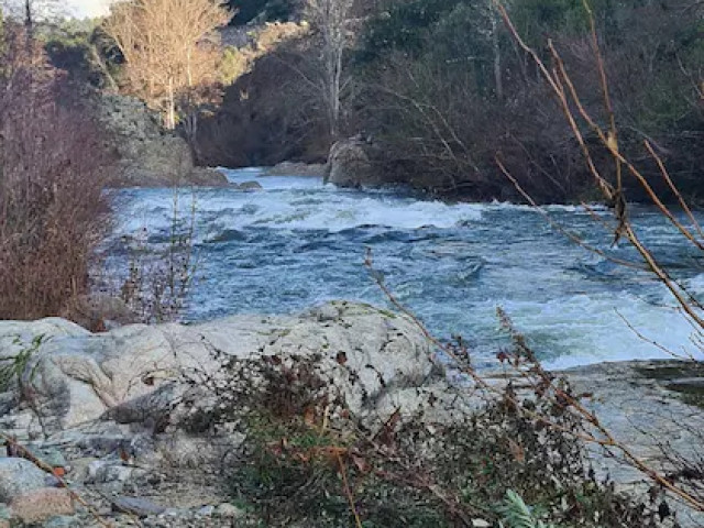 1 nuit avec petit déjeuner dans une cabane perchée à Francardo avec Kiffemu