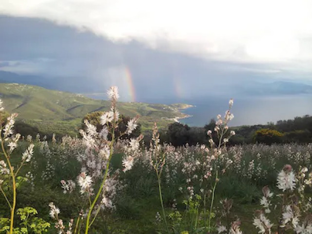 1 nuit avec petit déjeuner dans une roulotte dans une ferme à Cargèse avec Kiffemu