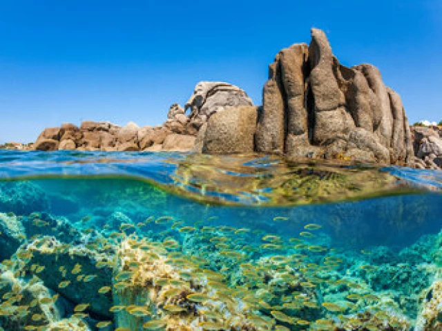 Balade de 45 min en semi sous-marin en groupe à Porto avec Kiffemu