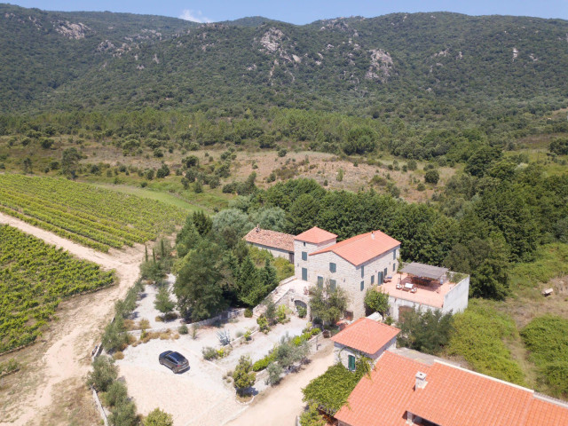 Visite avec dégustation dans un domaine viticole à Sartène en famille avec Kiffemu