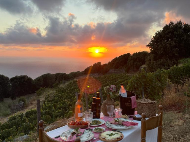 Excursion, visite et dégustation dans un domaine de Morsiglia avec Kiffemu