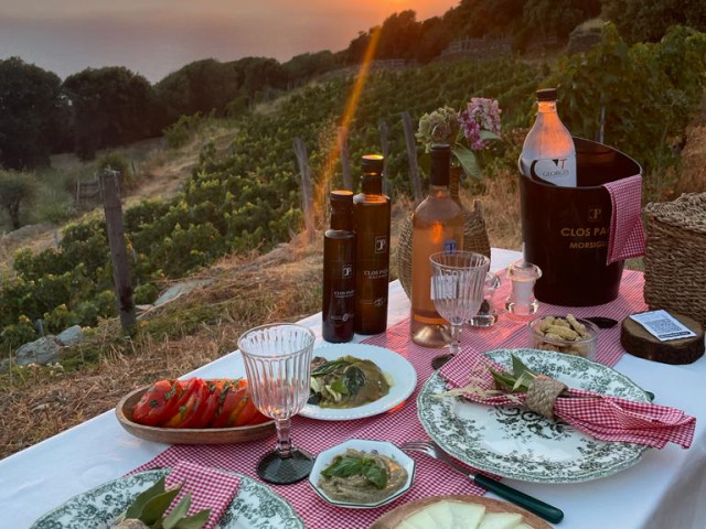 Excursion, visite et dégustation pour 4 dans un domaine de Morsiglia avec Kiffemu