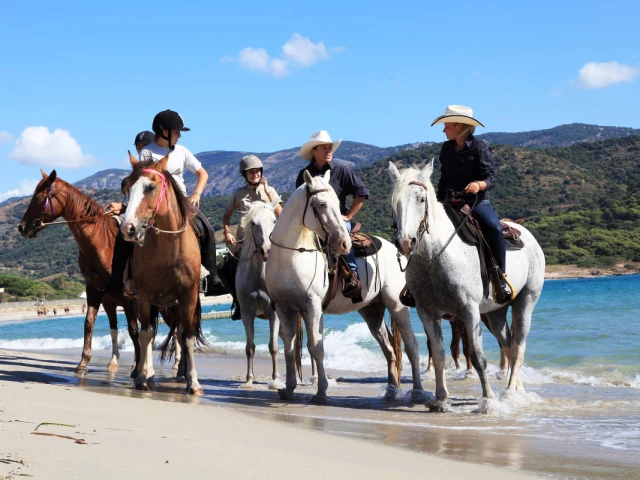 Balade à cheval de 1h pour 3 personnes à Serra-di-Ferro avec Kiffemu
