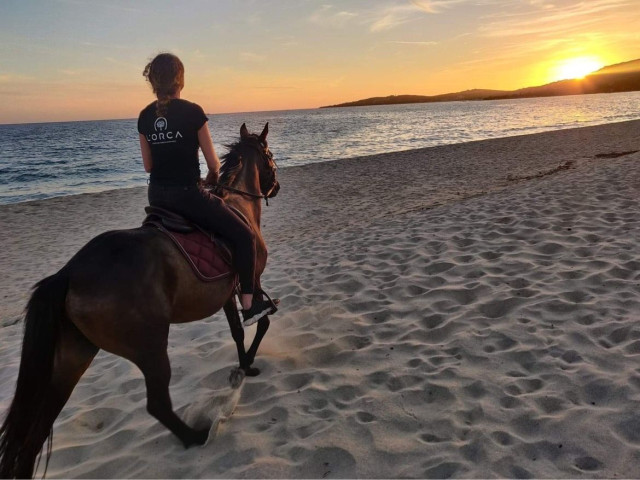 Balade à cheval de 1h30 pour 2 personnes à Serra-di-Ferro avec Kiffemu