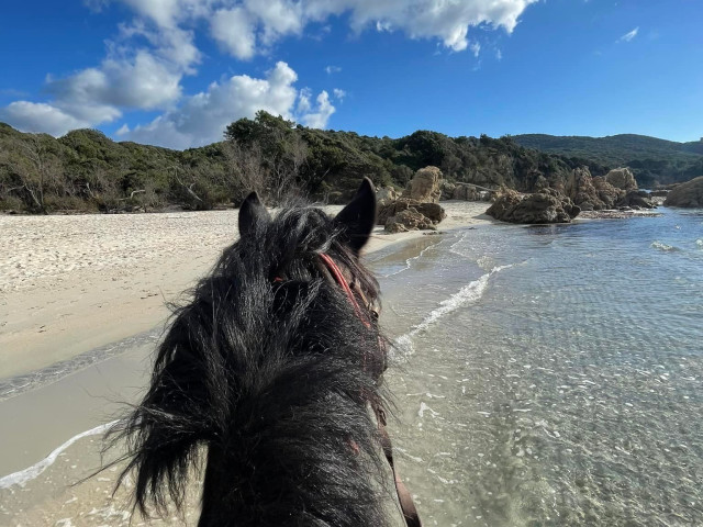 Balade à cheval de 2h pour 2 personnes à Serra di Ferro avec Kiffemu