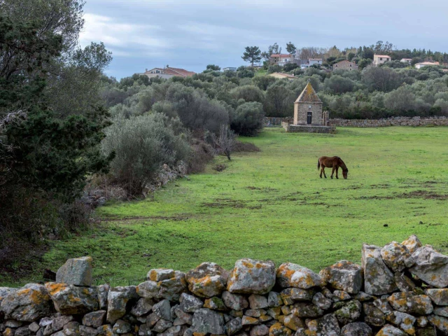 Balade à cheval de 2h pour 2 personnes à Serra di Ferro avec Kiffemu