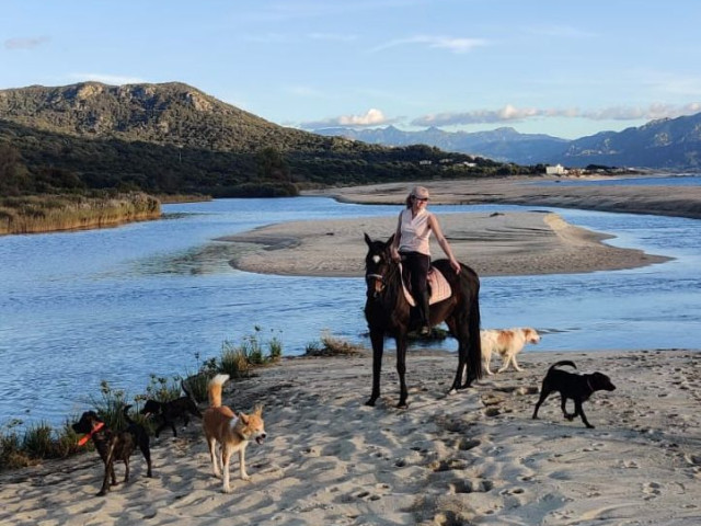 Balade à cheval de 2h pour 2 personnes à Serra di Ferro avec Kiffemu