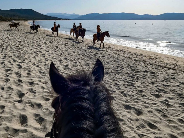 Balade à cheval de 2h à Serra-di-Ferro avec Kiffemu