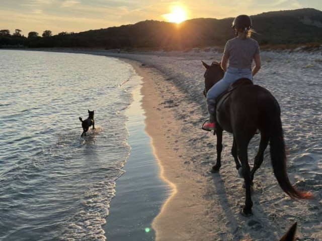 Balade à cheval de 2h à Serra-di-Ferro avec Kiffemu
