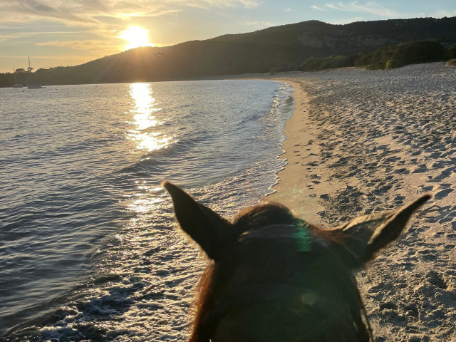 Balade à cheval de 2h à Serra-di-Ferro avec Kiffemu