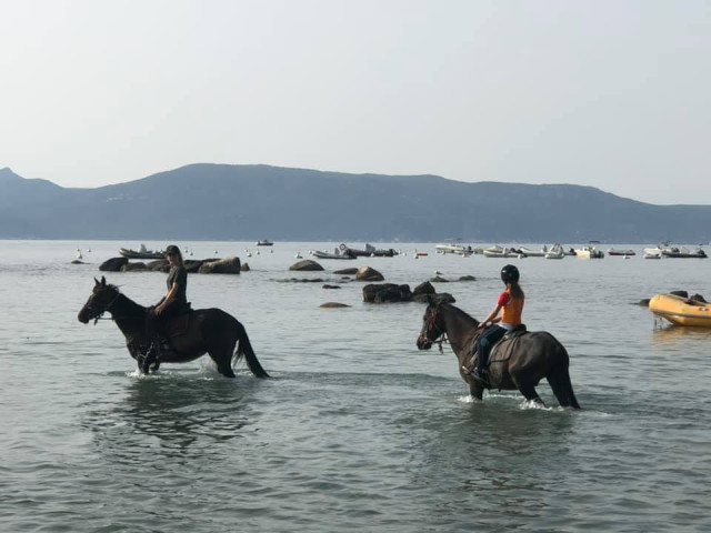 Balade à cheval de 2h à Serra-di-Ferro avec Kiffemu