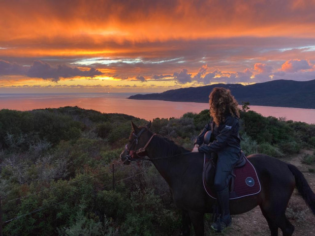 Balade à cheval de 2h à Serra-di-Ferro avec Kiffemu